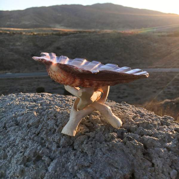 Wooden Cobra Stand - Image 9